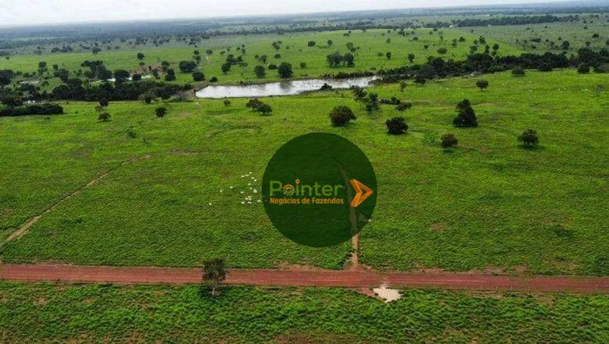 Foto 1 de Fazenda/Sítio com 2 Quartos à venda, 7970000m² em , Novo Planalto