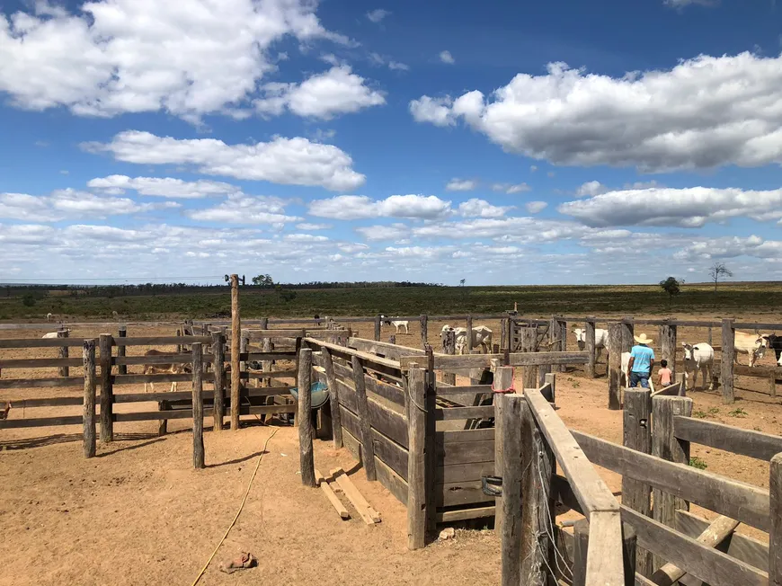 Foto 1 de Fazenda/Sítio à venda em Zona Rural, Paranatinga