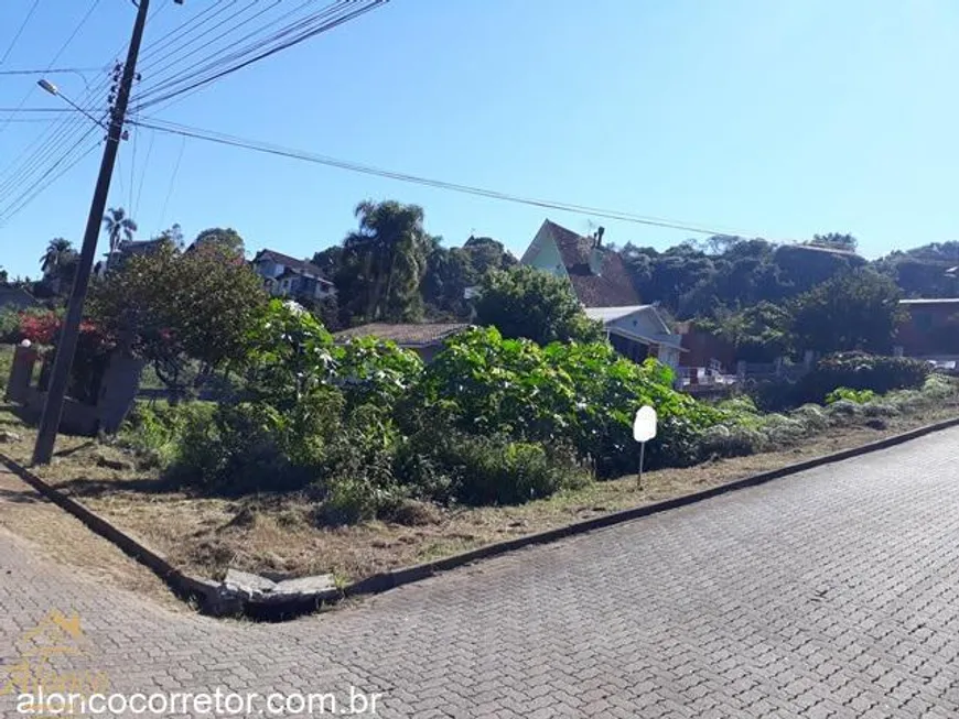 Foto 1 de Lote/Terreno à venda, 393m² em Logradouro, Nova Petrópolis