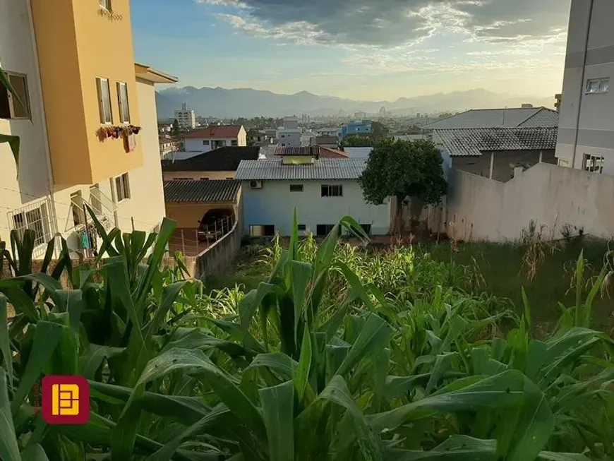 Foto 1 de Lote/Terreno à venda, 1m² em Fazenda Santo Antonio, São José