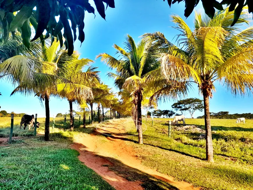 Foto 1 de Fazenda/Sítio à venda em Zona Rural, Itauçu