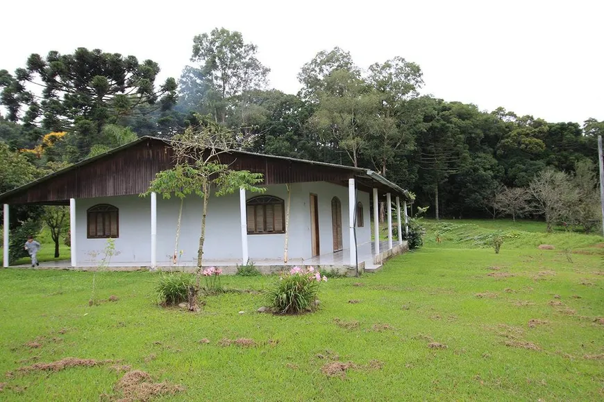 Foto 1 de Fazenda/Sítio com 3 Quartos à venda, 96000m² em Campo Largo da Roseira, São José dos Pinhais