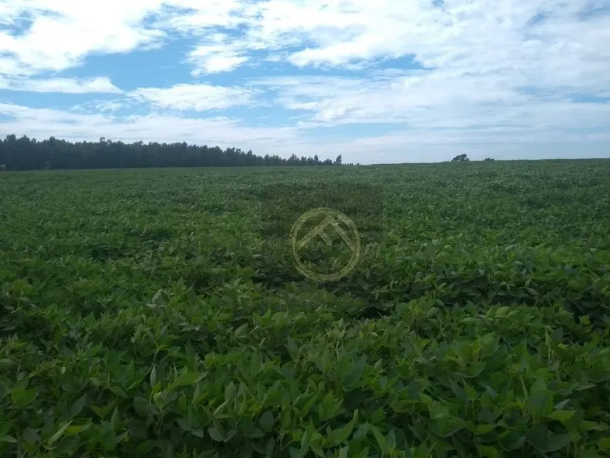 Foto 1 de Fazenda/Sítio à venda, 4573800m² em Centro, Mangueirinha