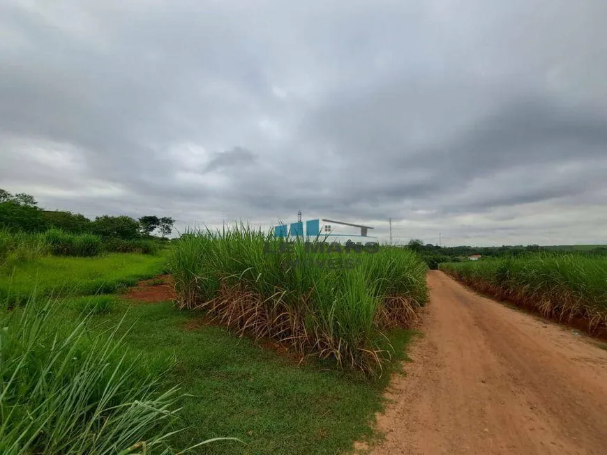 Foto 1 de Lote/Terreno para alugar, 30000m² em Conceição, Piracicaba