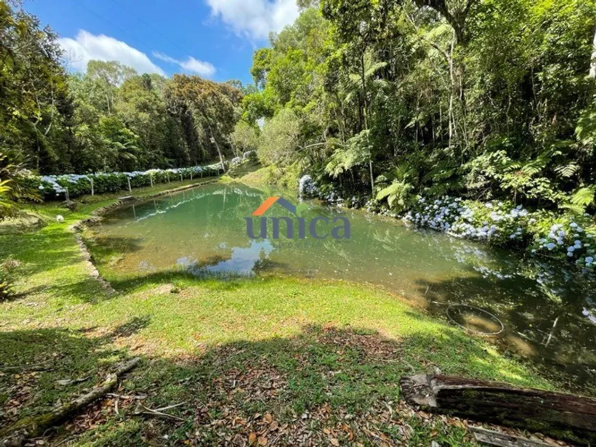 Foto 1 de Fazenda/Sítio com 3 Quartos à venda, 62000m² em , Campo Alegre