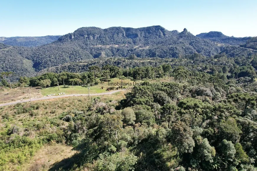 Foto 1 de Lote/Terreno à venda em Urubici, Urubici