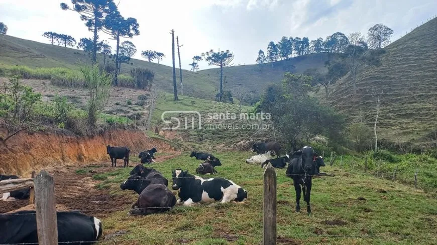 Foto 1 de Fazenda/Sítio com 3 Quartos à venda, 1m² em , Silveiras