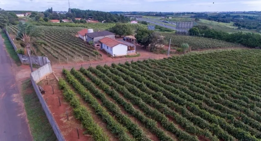 Foto 1 de Fazenda/Sítio com 3 Quartos à venda, 20000m² em Reforma Agraria, Valinhos