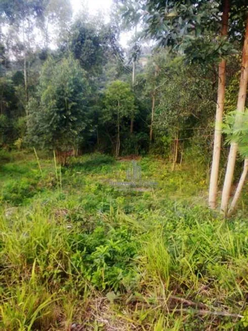 Foto 1 de Lote/Terreno à venda, 360m² em Desvio Rizzo, Caxias do Sul