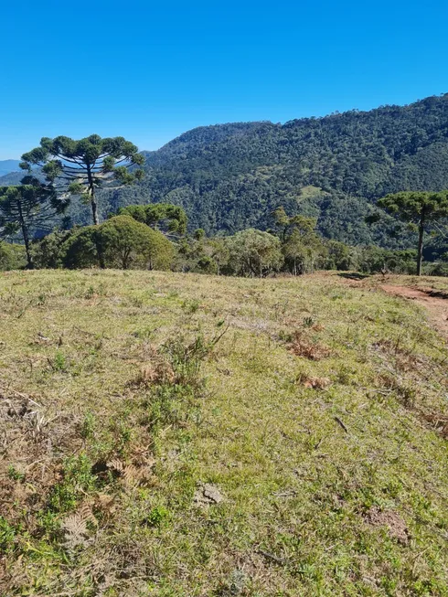 Foto 1 de Fazenda/Sítio à venda, 20000m² em Esquina, Urubici