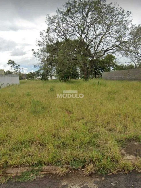 Foto 1 de Lote/Terreno à venda, 560m² em Jardim Inconfidência, Uberlândia