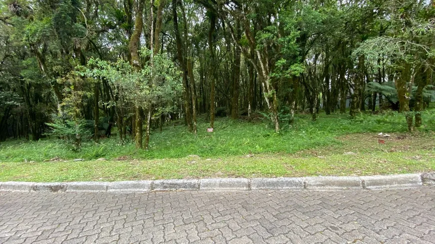 Foto 1 de Lote/Terreno à venda, 771m² em Pinheiro Grosso, Canela