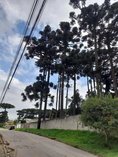 Foto 1 de Lote/Terreno à venda, 2750m² em Boqueirão, Curitiba