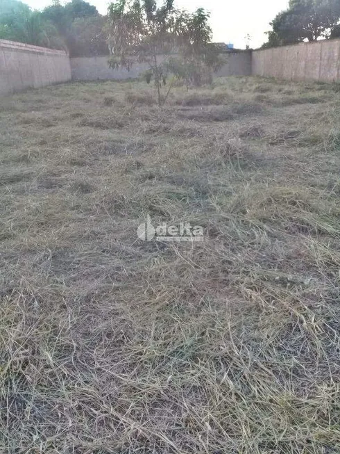 Foto 1 de Fazenda/Sítio à venda, 1000m² em Morada Nova, Uberlândia