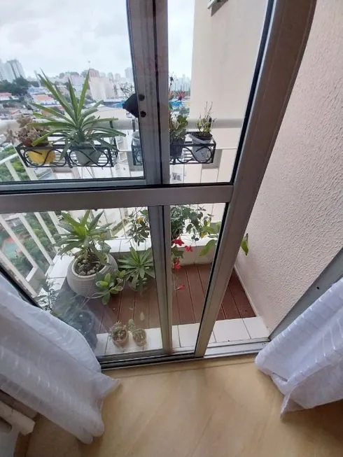 Foto 1 de Apartamento com 2 Quartos para venda ou aluguel, 50m² em Cidade Ademar, São Paulo