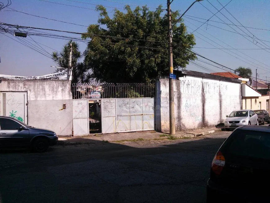 Foto 1 de Lote/Terreno para venda ou aluguel, 1000m² em Vila Formosa, São Paulo