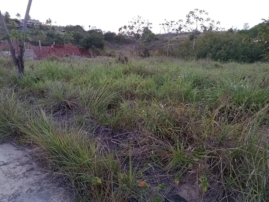 Foto 1 de Lote/Terreno à venda, 900m² em Porto de Galinhas, Ipojuca