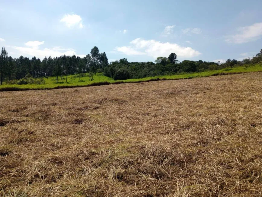 Foto 1 de Lote/Terreno com 1 Quarto à venda, 500m² em Verava, Ibiúna