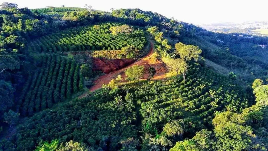 Foto 1 de Lote/Terreno com 1 Quarto à venda, 10m² em Centro, Turvolândia