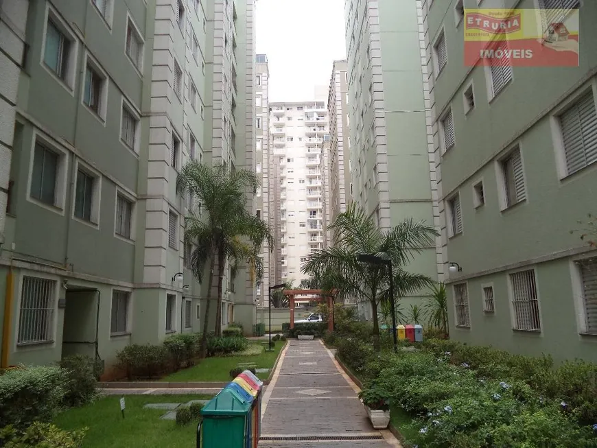 Foto 1 de Apartamento com 2 Quartos para venda ou aluguel, 43m² em Jardim Santa Terezinha, São Paulo