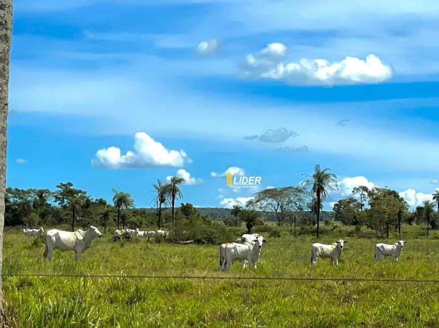 Foto 1 de Fazenda/Sítio à venda, 8566200m² em Setor Central, Bandeirantes do Tocantins