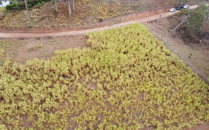 Foto 1 de Lote/Terreno à venda, 20000m² em Zona Rural, Caeté