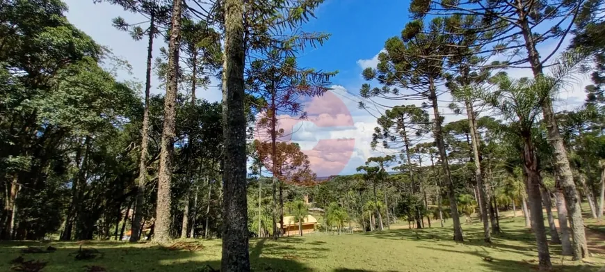 Foto 1 de Fazenda/Sítio com 5 Quartos à venda, 380m² em Zona Rural, Campo Alegre