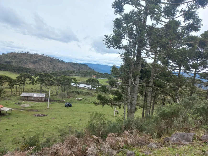 Foto 1 de Lote/Terreno à venda, 40000m² em Zona Rural, Urubici