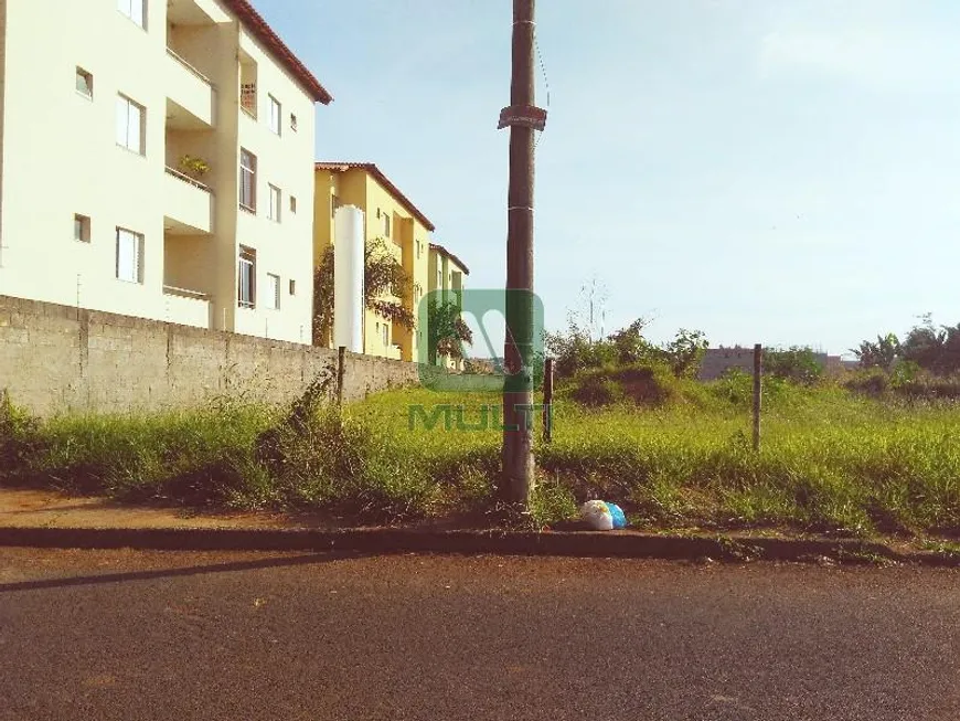 Foto 1 de Fazenda/Sítio com 1 Quarto à venda, 1500m² em Tubalina, Uberlândia