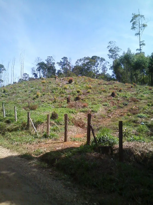 Foto 1 de Lote/Terreno à venda, 46000m² em São Vicente, Mairiporã