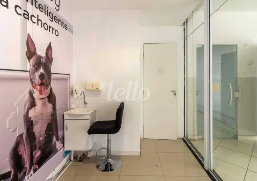 Foto 1 de Ponto Comercial para alugar, 60m² em Santana, São Paulo