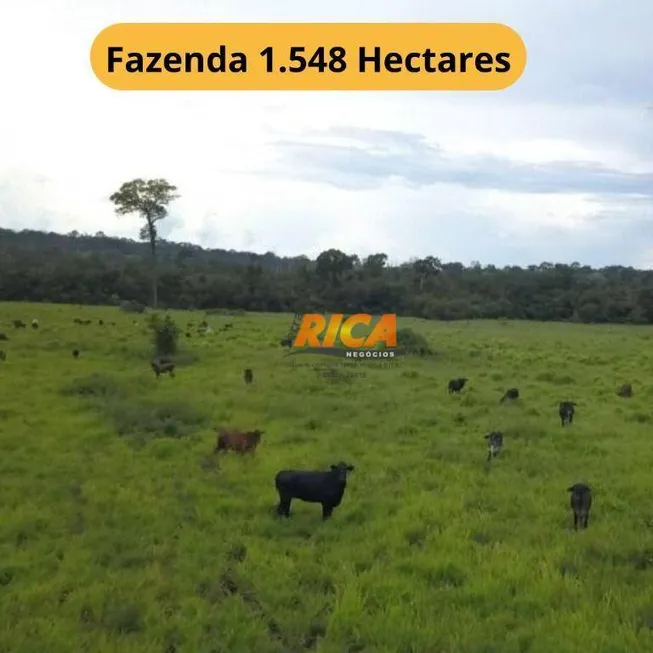 Foto 1 de Fazenda/Sítio à venda, 15480000m² em , Manicoré