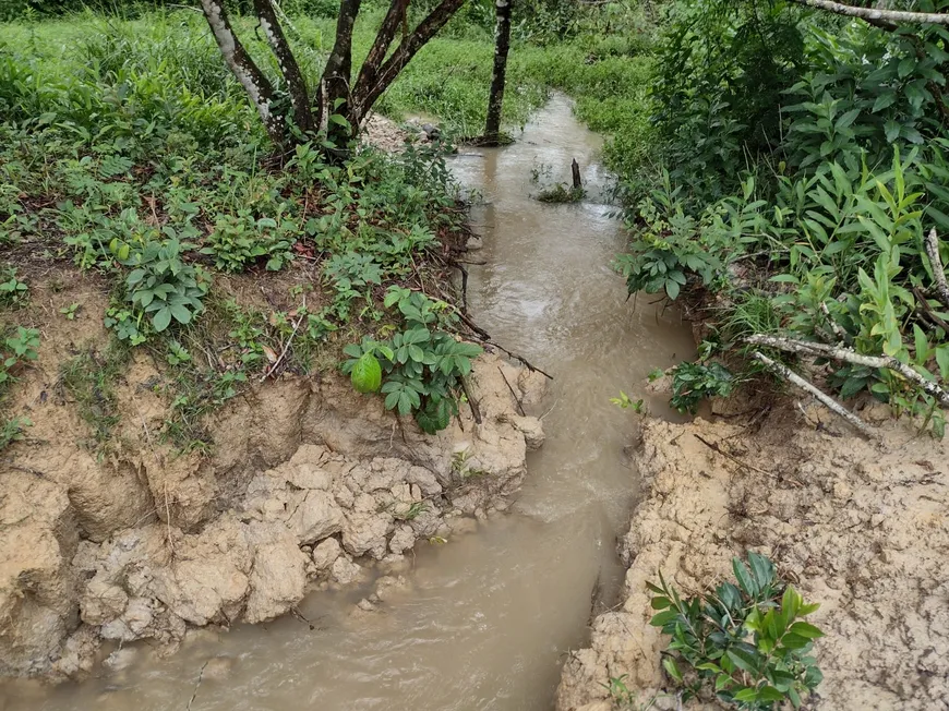 Foto 1 de Fazenda/Sítio à venda, 20000m² em Centro, Fortuna de Minas