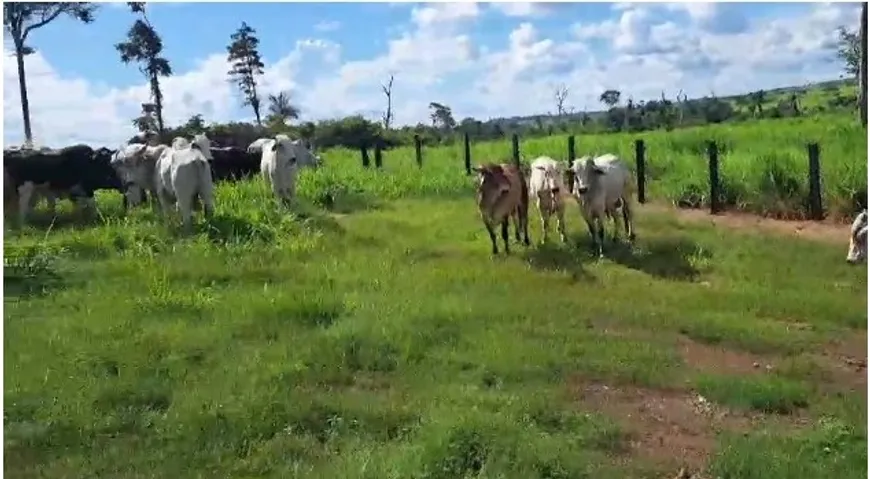 Foto 1 de Fazenda/Sítio à venda em Zona Rural, Confresa