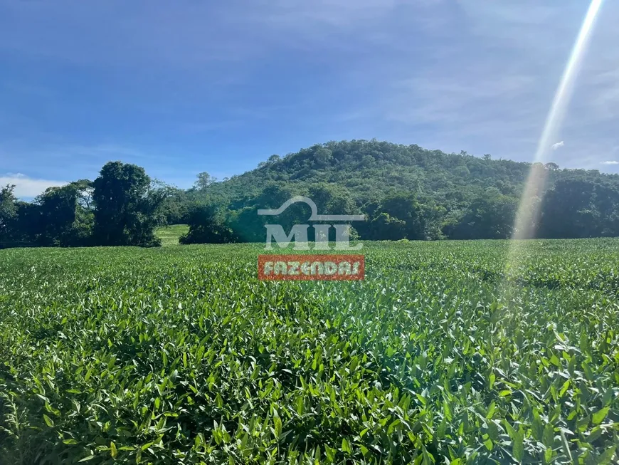 Foto 1 de Fazenda/Sítio à venda em Area Rural de Anapolis, Anápolis