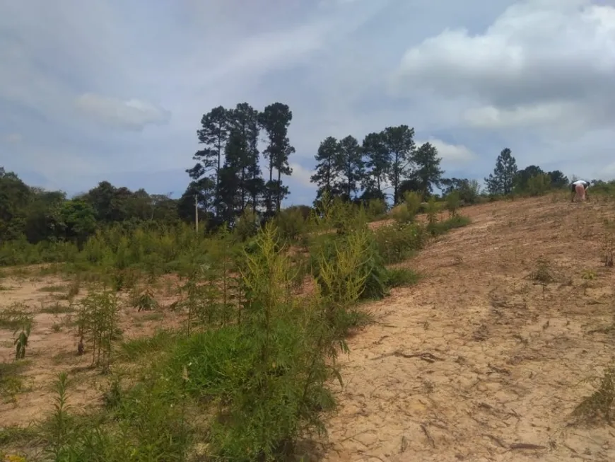 Foto 1 de Lote/Terreno à venda, 21000m² em Centro, Juquitiba