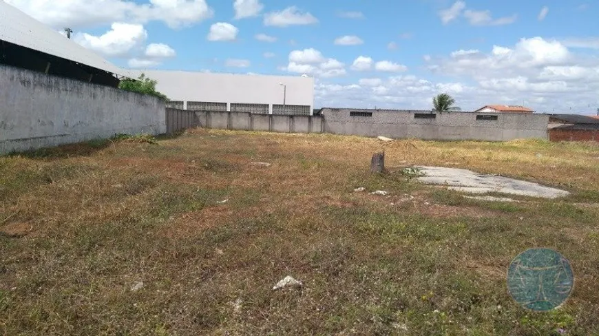 Foto 1 de Lote/Terreno com 1 Quarto para alugar, 3000m² em Golandim, São Gonçalo do Amarante