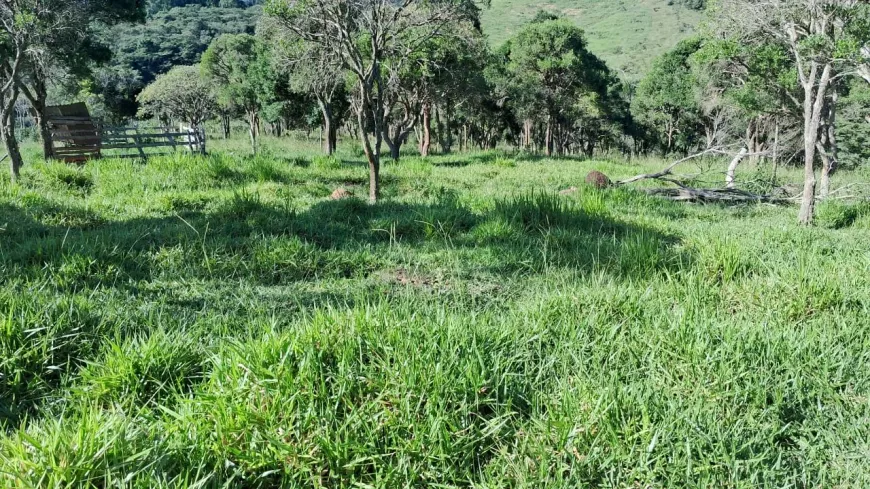 Foto 1 de Fazenda/Sítio à venda, 70000m² em Centro, Piracema