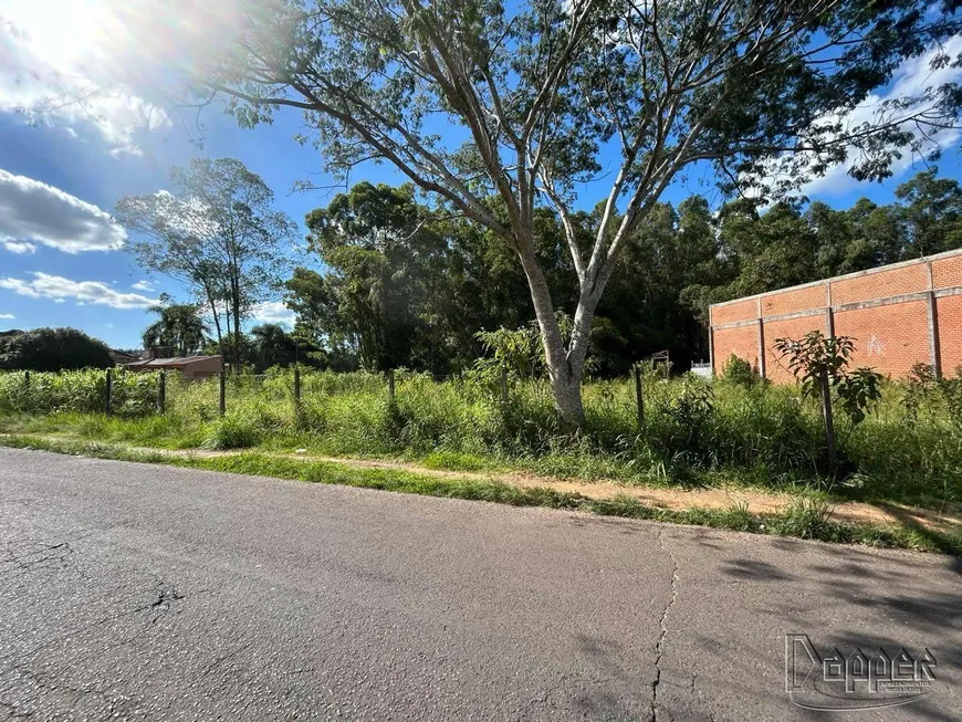 Foto 1 de Lote/Terreno à venda em Rincão, Novo Hamburgo