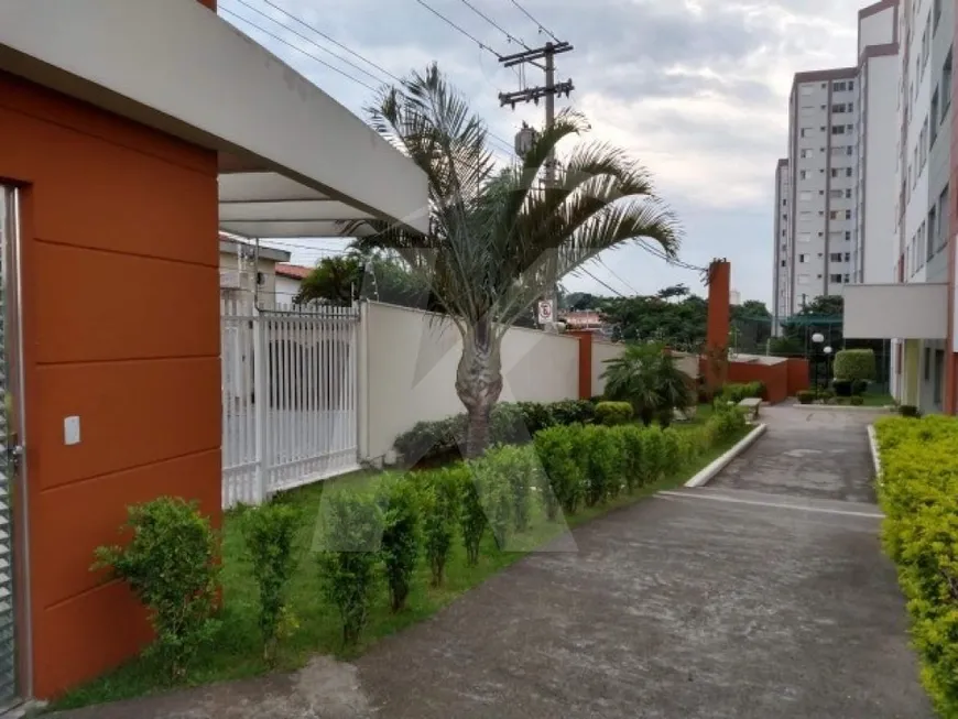 Foto 1 de Apartamento com 2 Quartos à venda, 50m² em Vila Basileia, São Paulo