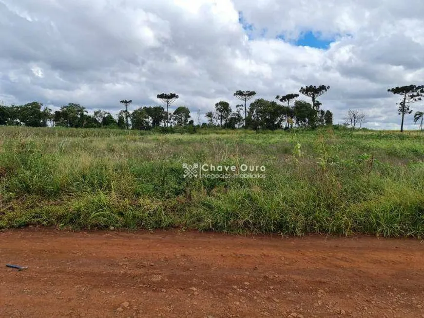 Foto 1 de Fazenda/Sítio com 1 Quarto à venda, 2352m² em Zona Rural, Cascavel