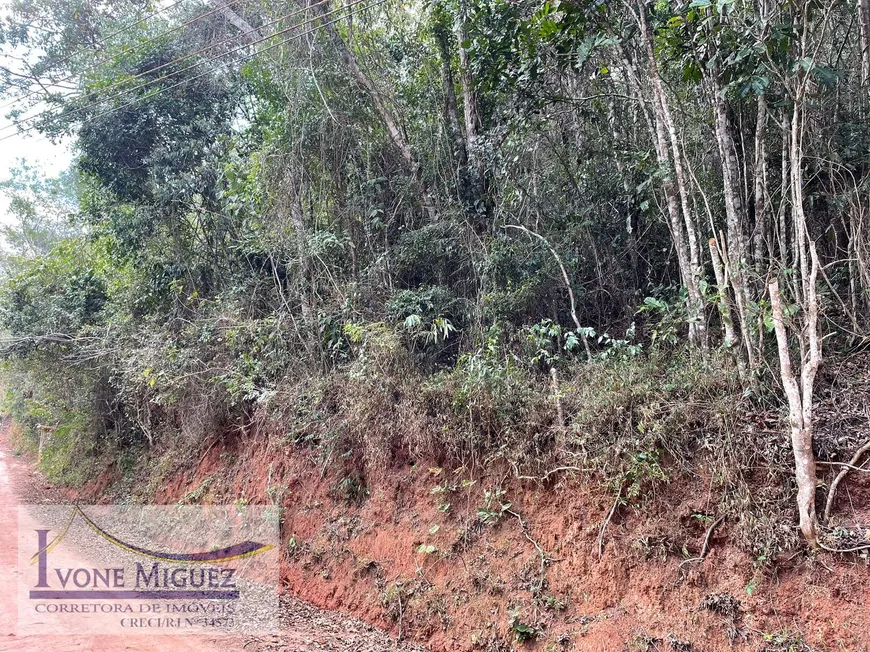 Foto 1 de Lote/Terreno à venda, 2100m² em Palmares, Paty do Alferes