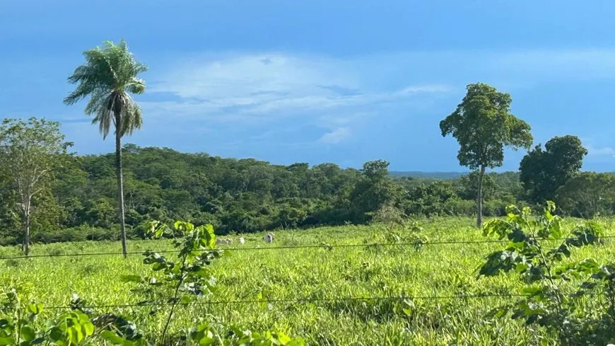 Foto 1 de Fazenda/Sítio à venda, 230m² em Zona Rural, Nossa Senhora do Livramento