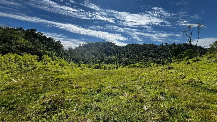 Foto 1 de Fazenda/Sítio à venda, 145200m² em Paiol de Baixo, Campina Grande do Sul