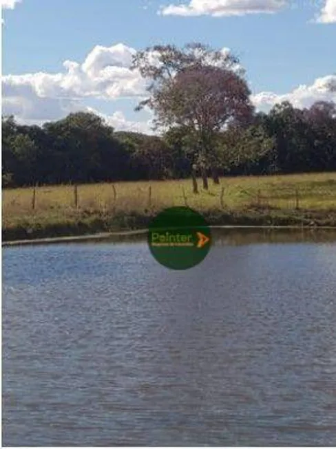 Foto 1 de Fazenda/Sítio com 2 Quartos à venda, 822800m² em Zona Rural, Pirenópolis