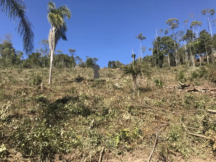 Foto 1 de Fazenda/Sítio com 1 Quarto à venda, 20000m² em Centro, Bocaiúva do Sul