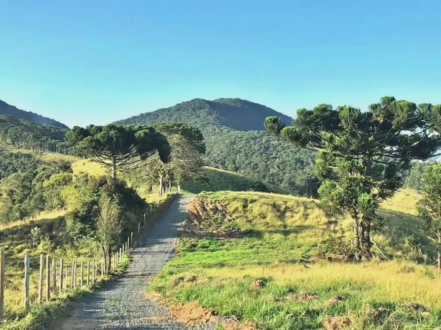 Foto 1 de Lote/Terreno à venda, 34329m² em Zona Rural, Joanópolis