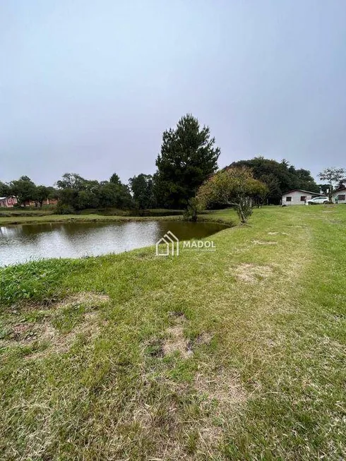 Foto 1 de Fazenda/Sítio à venda, 50000m² em São Luiz do Purunã, Balsa Nova