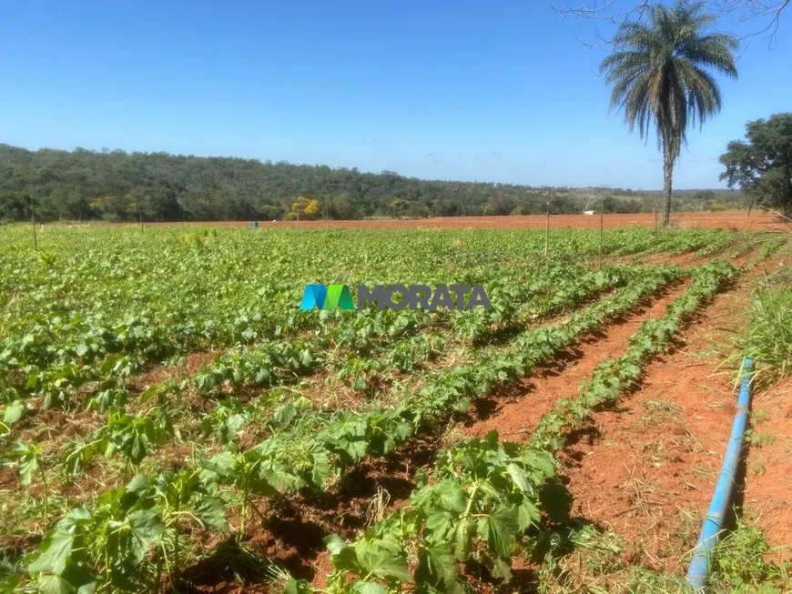 Foto 1 de Fazenda/Sítio com 1 Quarto à venda, 484m² em Zona Rural, Cordisburgo