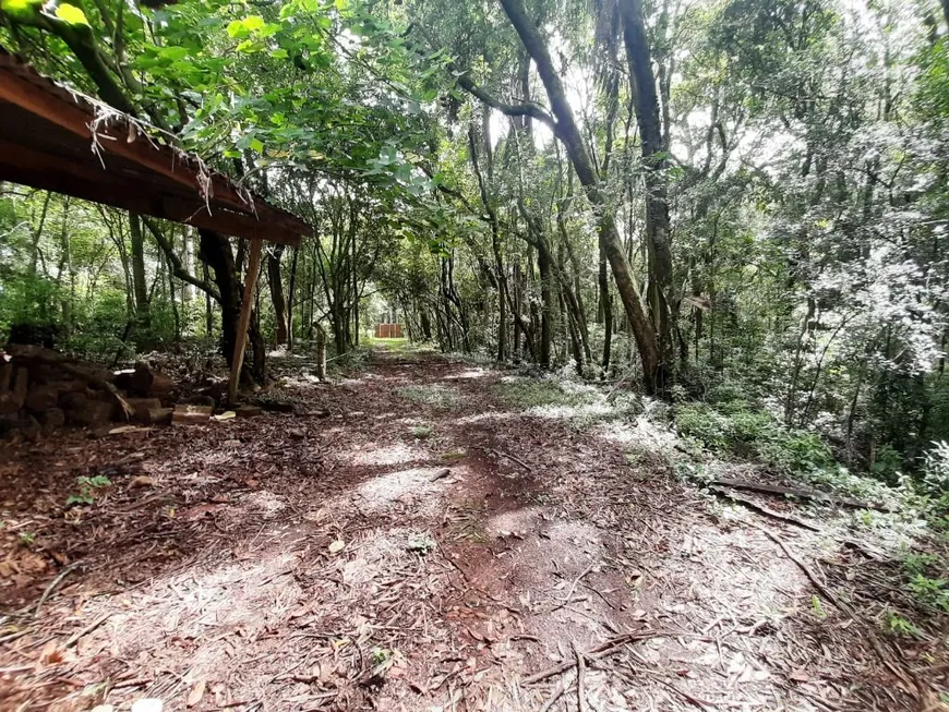 Foto 1 de Fazenda/Sítio com 3 Quartos à venda, 80m² em , Lindolfo Collor